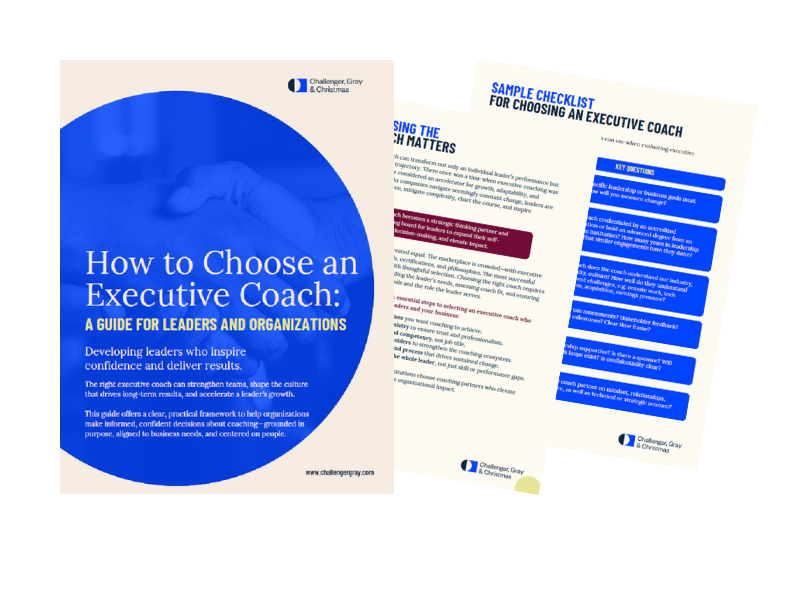 Choosing an executive coach (cover) 800x600